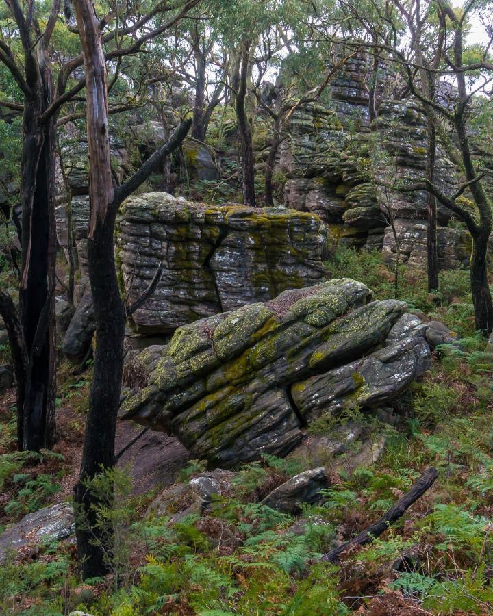 Wonderland Cottages Halls Gap Eksteriør billede