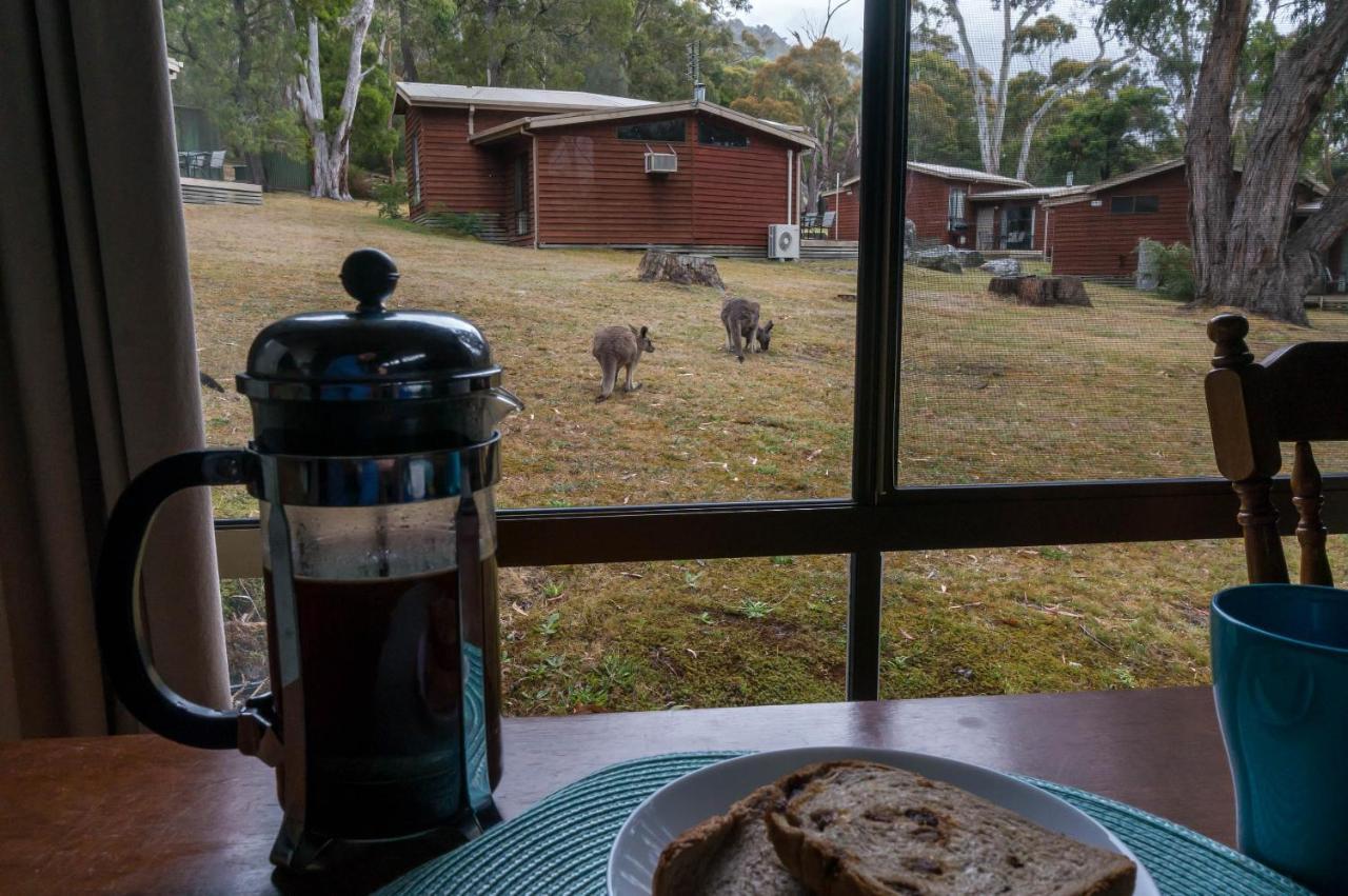 Wonderland Cottages Halls Gap Eksteriør billede