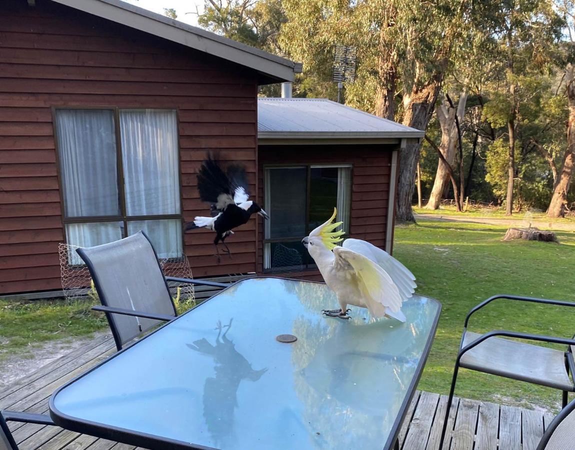 Wonderland Cottages Halls Gap Eksteriør billede