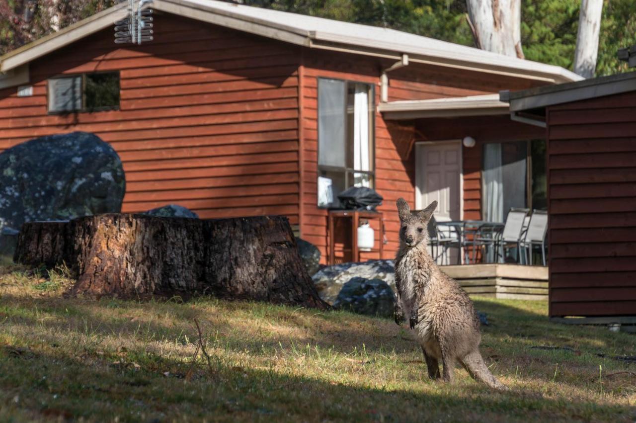 Wonderland Cottages Halls Gap Eksteriør billede